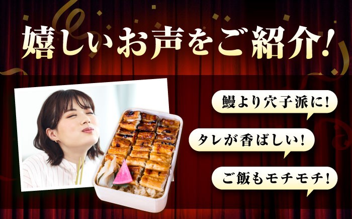 あなごめし（冷凍）4個セット