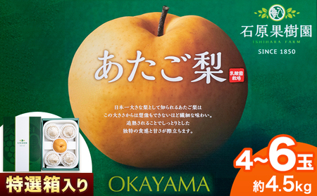 あたご梨 4～6玉 約4.5kg 特選箱 石原果樹園 《2024年11月下旬-12月下旬頃より発送予定》｜梨梨梨梨梨梨梨梨梨梨梨梨梨梨梨梨梨梨梨梨梨梨梨梨梨梨梨梨梨梨梨梨梨梨梨梨梨梨梨梨梨梨梨梨梨梨梨梨梨梨梨梨梨梨梨梨梨梨梨梨梨梨梨梨梨梨梨梨梨梨梨梨梨梨梨梨梨梨梨梨梨梨梨梨梨梨梨梨梨梨梨梨梨梨梨梨梨梨梨梨梨梨梨梨梨梨梨梨梨梨梨梨梨梨梨梨梨梨梨梨梨梨梨梨梨梨梨梨梨梨梨梨梨梨梨梨梨梨梨梨梨梨梨梨梨梨梨梨梨梨梨梨梨梨梨梨梨梨梨梨梨梨梨梨梨梨梨梨梨梨梨梨梨梨梨梨梨梨梨梨梨梨梨梨梨梨梨梨梨梨梨梨梨梨梨梨梨梨梨梨梨梨梨