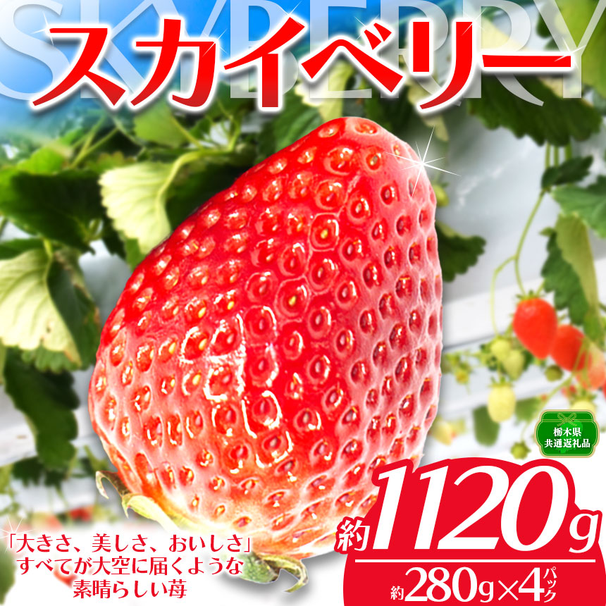 【ふるさと納税】 【先行予約】栃木県共通返礼品 JAうつのみや直送！ スカイベリー 280g×4パック　【1月発送】  | いちご 甘い 美味しい 果物 フルーツ デザート 栃木県 下野市 送料無料