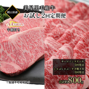 黒毛和牛 お試し定期便 2回発送 サーロインステーキ 約400g しゃぶしゃぶ すき焼き 用 約400g 合計 約800g A4等級 以上 牛脂付き サーロイン 美星牛 美星牧場 岡山 