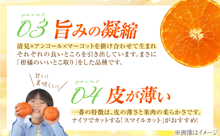 みかん 訳あり せとか 約3kg サイズ不揃い【1月下旬から2月中旬まで順次発送】/ フルーツ 果物 蜜柑 ミカン オレンジ 訳あり 訳アリ 小玉 甘い 先行予約 3kg 愛媛 / 愛媛県砥部町/株式