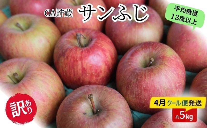 
                  りんご 【4月クール便発送】 平均糖度13度以上 訳あり品 家庭用 CA貯蔵 サンふじ 約 5kg 【 青森りんご 】 果物類 林檎 リンゴ フルーツ
                