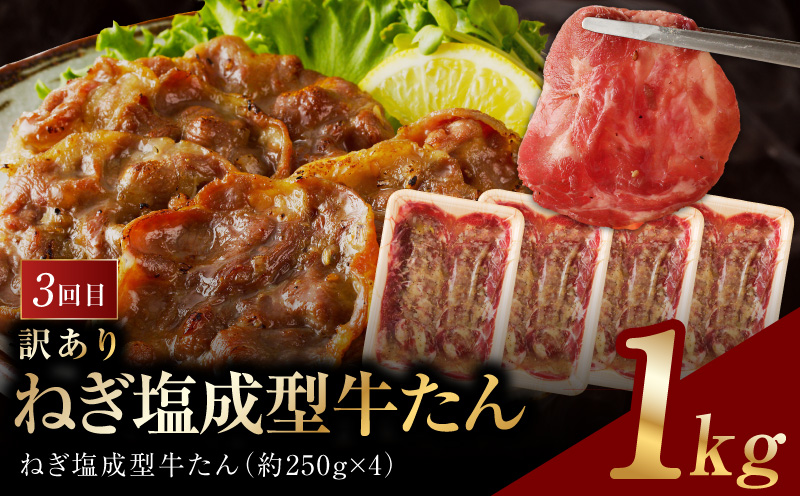 アキラ商店 肉三昧 総量 4kg以上 定期便 全4回【毎月配送コース お楽しみ 焼肉 ていきびん 焼くだけ 小分け BBQ やきにく 数量限定 大阪 泉佐野 大阪府 泉佐野市】