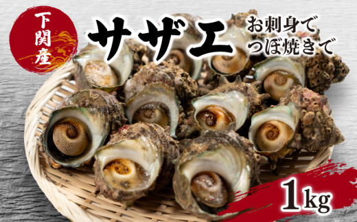 サザエ 1kg 冷凍 さざえ 刺身 つぼ焼き 貝 海鮮 BBQ バーベキュー 焼き 料理 グルメ 下関 北浦 産地直送 貝