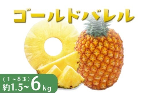 
                  ＜選べる容量＞パイナップル ゴールドバレル 約1.5～6kg  2～8玉 ハウス栽培 パイン 果物 フルーツ 沖縄 西表島【TOK:iふぁーむ】配送不可：離島
                