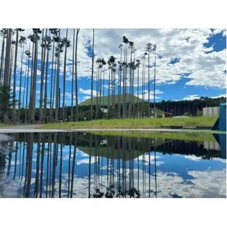 静岡県伊東市【奏の森リゾート】奏の森Resortsのモリノオトでも使える商品券9,000円分_旅行券・チケット  体験チケット _【1571048】