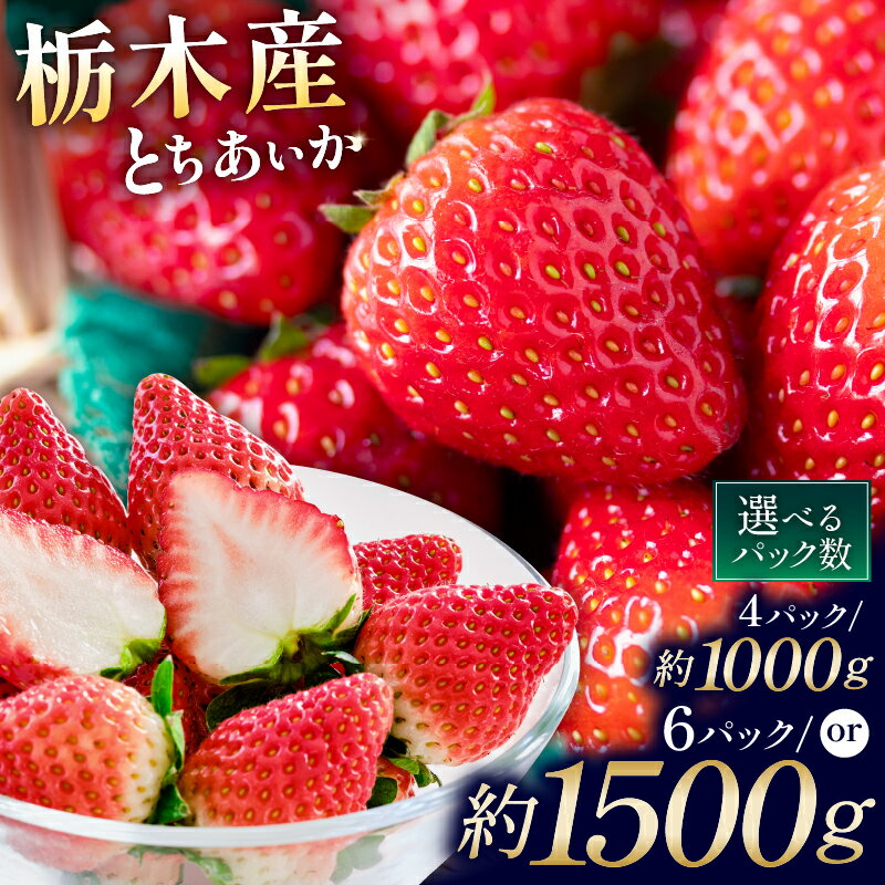 【ふるさと納税】 【選べるパック数】栃木県産 とちあいか 栃木県 那須塩原市 いちご 苺 果物 フルーツ とちあいか オリジナル 品種 厳選 甘い 酸味が少ない デザート ジューシー みずみずしい 送料無料