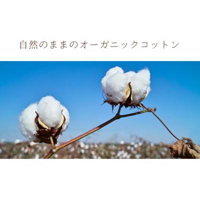 ふるさと納税 阪南市 敷きパッド 無添加 無漂白 オーガニックコットン フランネル ダブルサイズ オールシーズン |  | 01