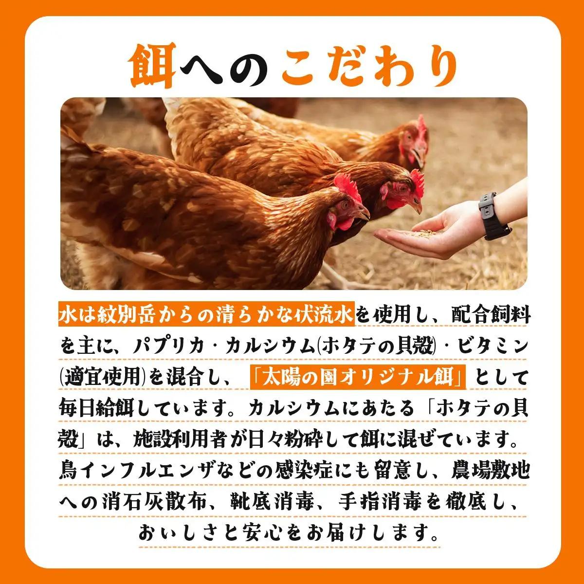 [5525-0759]北海道産 6ヵ月連続お届け   たまごの心 40個 Lサイズ   太陽の園  の平飼たまご  有精卵 北海道 伊達市 たまご 卵 生たまご 鶏卵  鶏の卵 ポリスブラウン 食材 