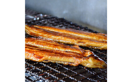 焼きあなご1串・蒲焼きうなぎ1尾食べ比べセット