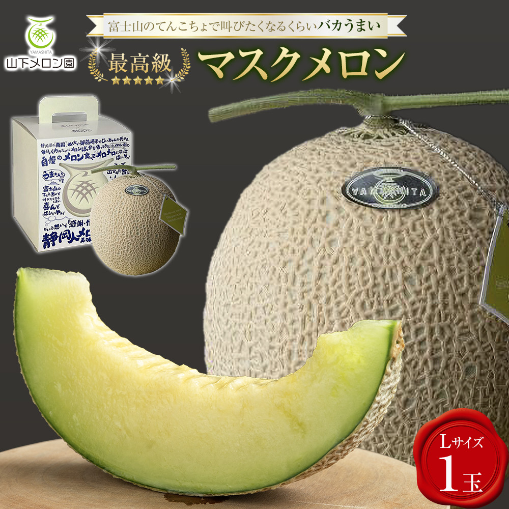 【限定企画商品】静岡人 × 山下メロンの最高級のマスクメロン 1玉 Ｌ玉1.6kg～1.7kg  静岡温室メロン「バカうまいメロン」「自慢のメロンを届けたい！！」　高級果実店に仕入れるほどの自信のあるメロン  ギフト  メロン めろん 箱詰め フルーツ 果物  産地直送 甘いメロン 糖度   青肉 222232_AY006