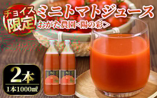 
            【B7040】＼ふるさとチョイス限定／＜おがた農園のミニトマトジュース＞ 陽の彩 ー ひのいろ ー (1000ml×2本) トマト ミニトマト ジュース トマトジュース ミニトマトジュース 飲料 甘味 酸味 野菜 ギフト プレゼント【おがた農園】
          