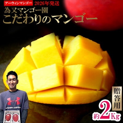 【ふるさと納税】【2026年発送】為又マンゴー園　贈答用　こだわりのマンゴー　約2kg フルーツ 果物 期間限定 数量限定 マンゴー 南国 プレゼント お土産 おみやげ ギフト くだもの 沖縄 おきなわ 青果 デザート おすすめ 人気 冷蔵 夏 スイーツ