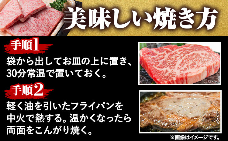 年間100頭程の奇跡の天空和牛!  サーロインステーキ 約500g(約100g × 5枚) 有限会社松牛 《30日以内に出荷予定(土日祝除く)》サーロインステーキ 黒毛和牛 牛 牛肉 牛肉ステーキ ス