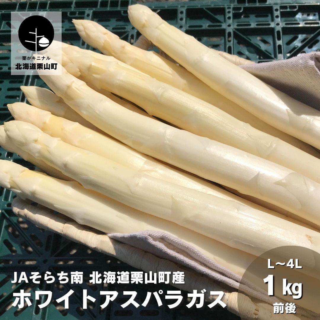 【ふるさと納税】【先行予約】春一番！JAそらち南の味覚「ホワイトアスパラガス」1kg前後