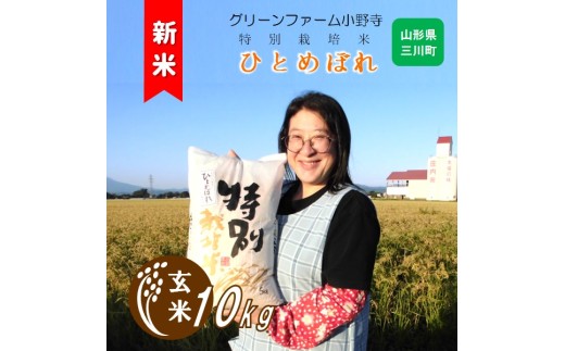 【令和8年産・玄米】グリーンファーム小野寺の特別栽培米ひとめぼれ10kg　※10月中旬頃から順次配送予定