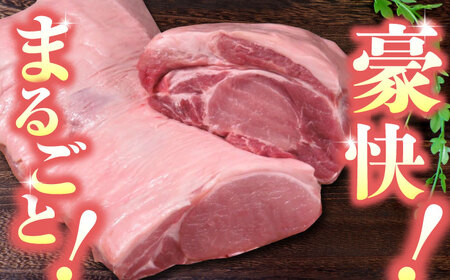 【12回定期便】豚帝 リブ ロース＆ロース ブロック 約2kg【KRAZY MEAT(小田畜産)】[ZCP093]
