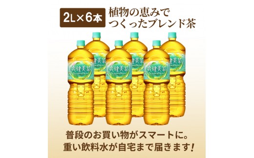 『定期便：全3回』爽健美茶2000mlPET×6本