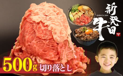 牛肉 切り落とし 500g 肉 和牛 霜降り ブランド牛 新発田牛 にいがた和牛 しゃぶしゃぶ 小分け 小間切れ 新潟県 新発田市 新潟 新発田 アルビレックス アルビレックス新潟 近江牛 神戸牛 松阪牛 米沢牛 三大和牛 に負けない えのもとミート enomoto001