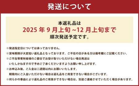【2025年12月上旬迄順次発送予定】 北海道産 在来種 ピンクにんにく 約1kg ニンニク ガーリック にんにく 大蒜 薬味 浦臼町 北海道