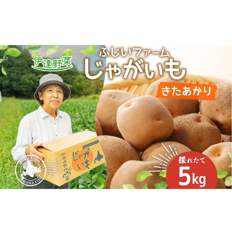 北海道産 じゃがいも 北あかり 約5kg  ジャガイモ 馬鈴薯 ポテト 芋 イモ きたあかり キタアカリ 栗じゃがいも 先行受付 産地直送 野菜 農作物 ホクホク じゃがバター コロッケ 人気 ふじい