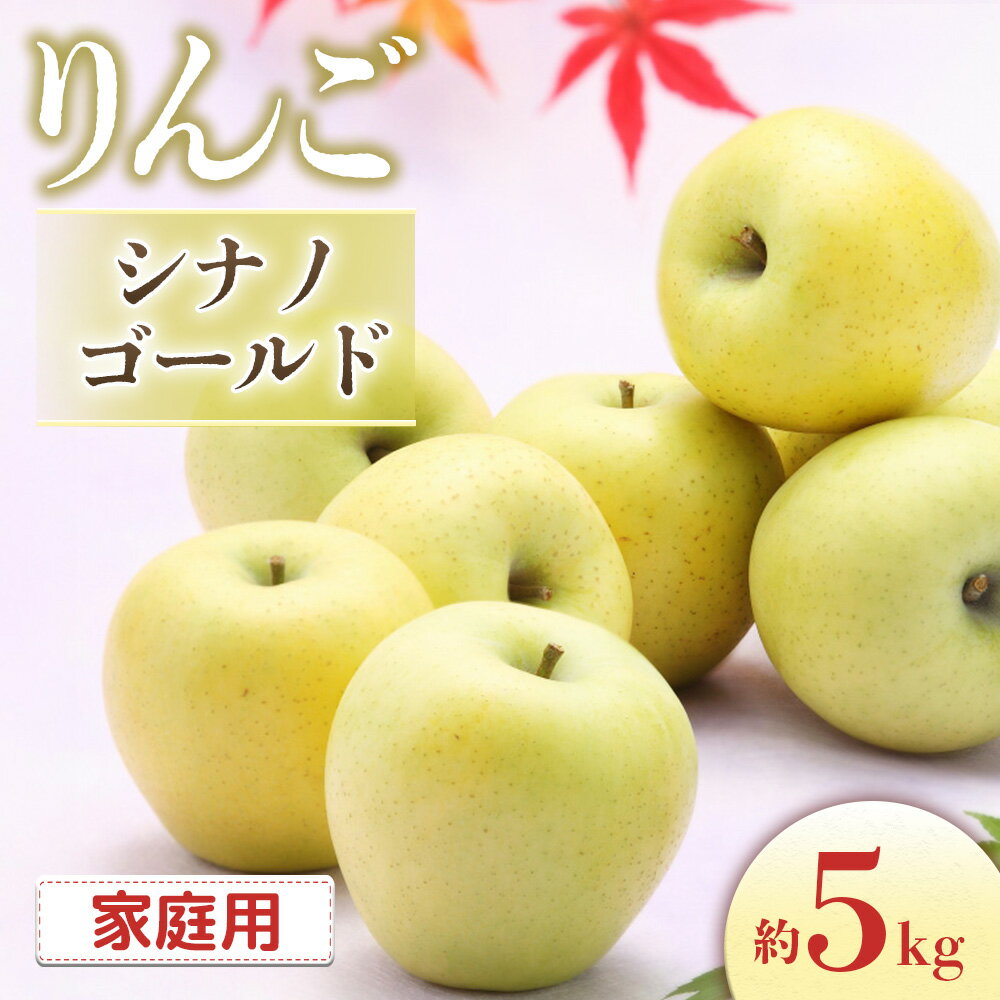 【ふるさと納税】＜先行予約＞りんご シナノゴールド＜ご家庭用＞[10〜18玉]　※2025年10月中旬〜11月上旬発送※