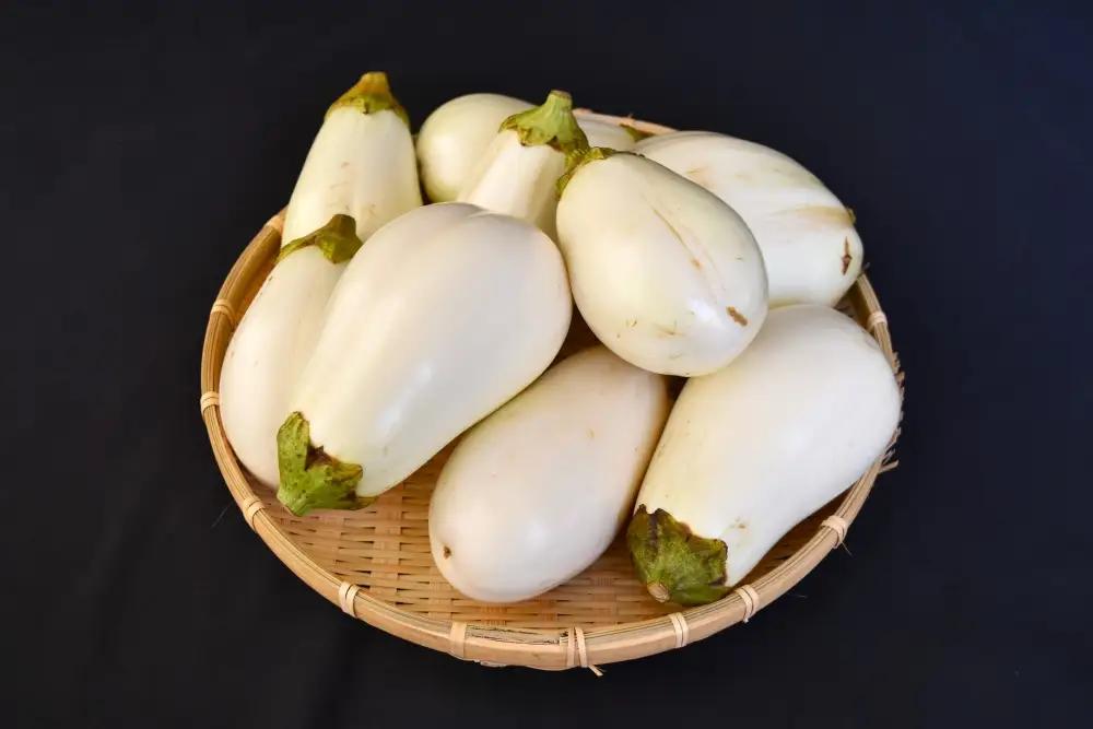 茄子 【訳あり】とろ～り旨なす(白茄子) 約2kg 8～9個【2026年7月初旬～9月末頃順次発送】奈良県 葛城市【bfrk002】