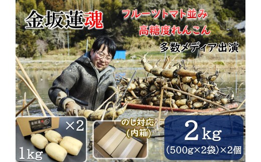 【10月上旬～順次発送】千葉県産 れんこん真空パック(2kg)自然栽培【金坂蓮魂】 CNX002