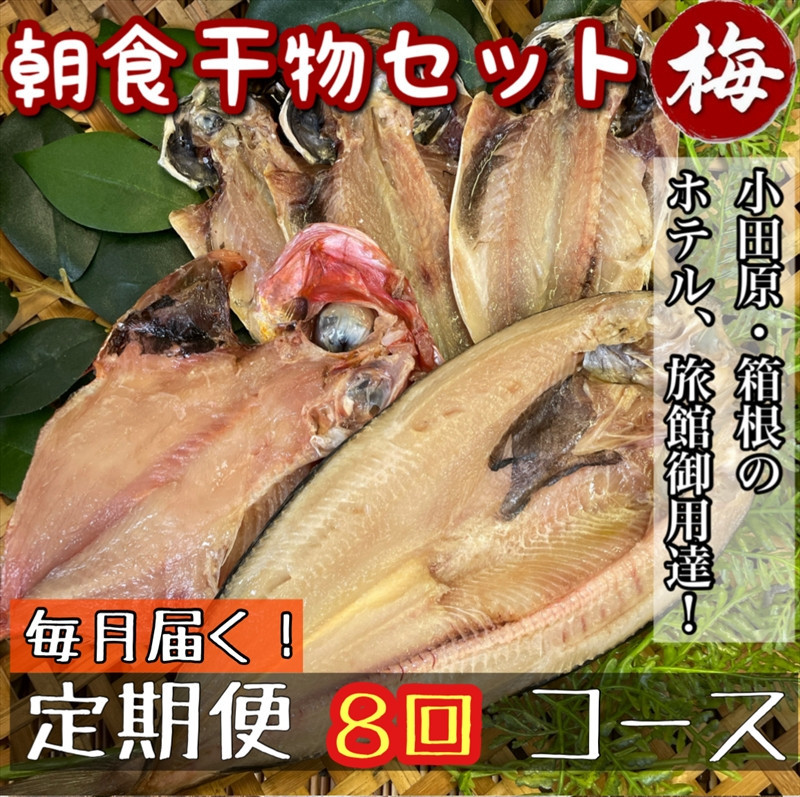 【毎月定期便8回】小田原、箱根の旅館、ホテル御用達！朝食干物セット 梅【 まぐろや 神奈川県小田原市 】 142069_DQ215