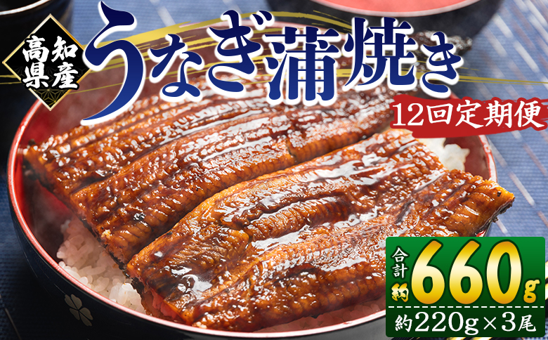 【１２回定期便】高知県産養殖うなぎ蒲焼き 約220g×３尾 Wfb-0068