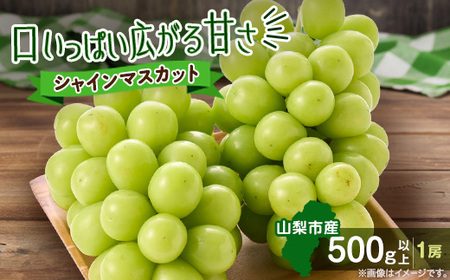 【2026年発送】やみつきシャインマスカット 500g以上(1房)【配送不可地域：離島】【1551175】