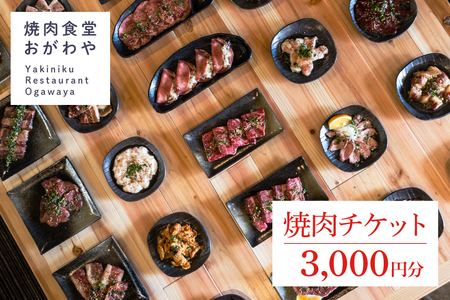 DR001 おがわや焼肉チケット 3000円分