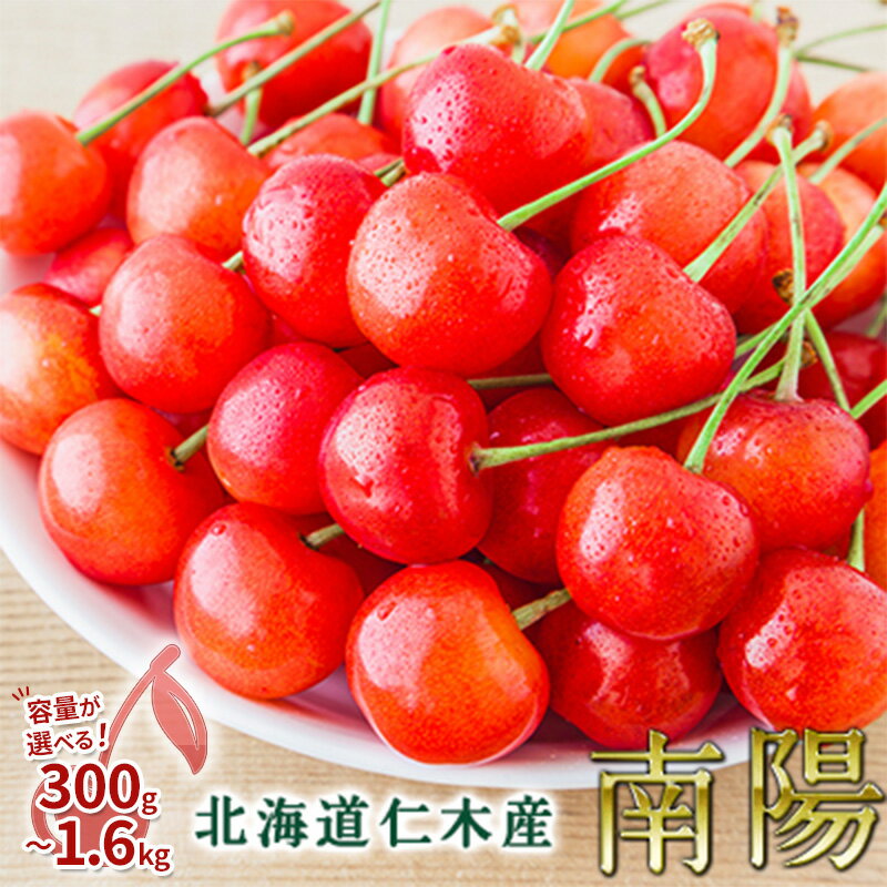 【ふるさと納税】[先行受付] 容量が選べる 300g～1.6kg　北海道 仁木町産 さくらんぼ 南陽 果物類 くだもの フルーツ サクランボ チェリー [JA新おたる]　お届け：2025年7月中旬～7月下旬まで