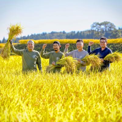 ふるさと納税 津南町 【毎月定期便】県認証特別栽培元祖魚沼産コシヒカリ5kg(5kg×1袋)×12回 合計60kg全12回 |  | 03