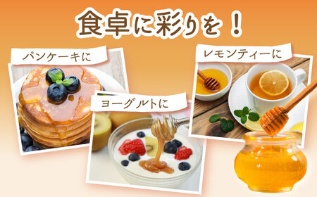 はちみつ 百花蜜 500g / お手頃 一万円 蜂蜜 国産ハチミツ とんがり容器入りはちみつ 長崎県産はちみつ 川棚町産はちみつ 国産蜂蜜 はちみつ 純粋はちみつ 天然成分100％はちみつ 【小佐々養
