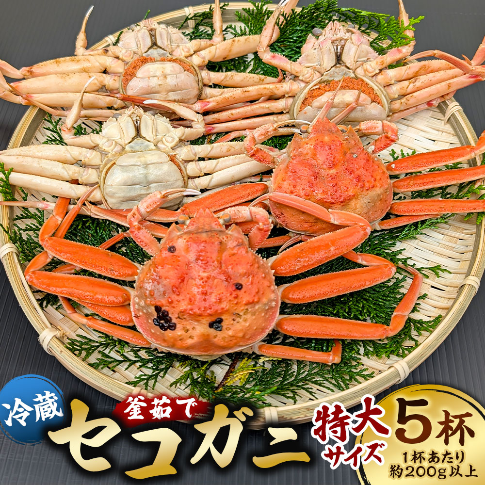 【ふるさと納税】釜茹でセコガニ（冷蔵）特大サイズ 5杯（1杯あたり約200g以上） 約200g×5 合計約1kg セコガニ せこがに かに 蟹 カニ ズワイガニ 松葉ガニ 松葉蟹 内子 外子 カニミソ 蟹味噌 カニ身 冷蔵 兵庫県 新温泉町 送料無料【2025年12月上旬まで順次発送予定】