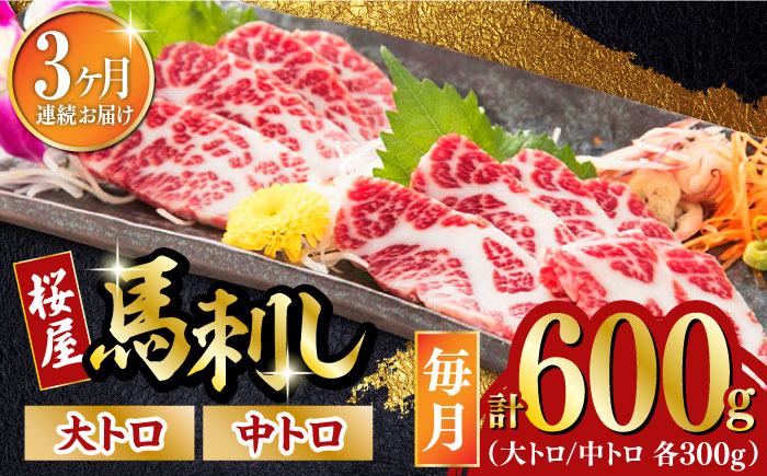 【全3回定期便】馬刺し 2種 計600g (大トロ 中トロ)各300g【有限会社 桜屋】 [YBW104]