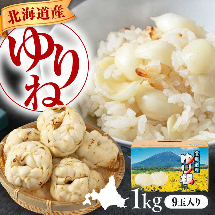 【ふるさと納税】先行予約 ゆり根 1kg 9玉 ギフト箱入り 《喜茂別町》　【Aコープようてい】 先行予約 ユリ根 ユリネ 北海道 季節の野菜 冬野菜 ギフト プレゼント 産地直送 北海道 北海道産 [AJAK018] 9000 9000円