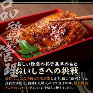 鹿児島県産うなぎ蒲焼 (1尾あたり136g～155g×2尾、タレ・山椒付き) 鰻 ウナギ うな重 ひつまぶし かばやき 九州産 国産 冷凍 【西日本養鰻】A582