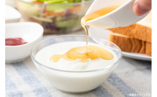 はちみつ 国産 伊江島産純粋はちみつ 500g 1本 [ie honey 沖縄県 伊江村 ie47bde440004] 蜂蜜 ハチミツ 純粋ハチミツ 100% 天然 非加熱 無加糖 調味料 スイーツ 
