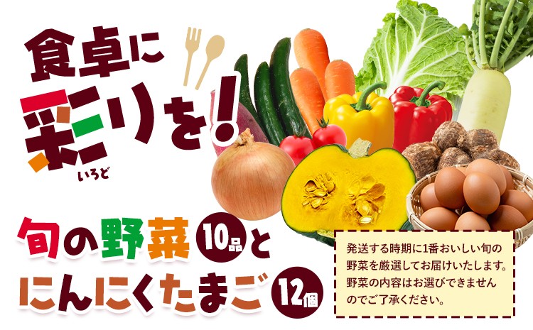 
            旬の野菜とたまごのセットメロンドーム 野菜 卵 にんにくたまご 卵 詰め合わせ 有限会社七城町特産品センター《30日以内に出荷予定(土日祝除く)》熊本県 菊池市 セット 新鮮 国産 九州産 熊本県 菊池市 道の駅 旬 送料無料
          