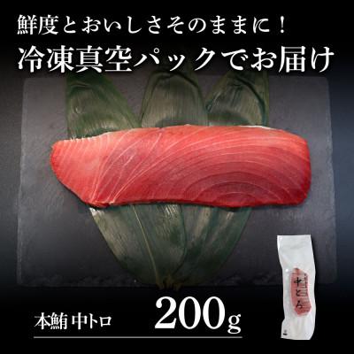 ふるさと納税 土佐市 本鮪　中トロ200g |  | 03
