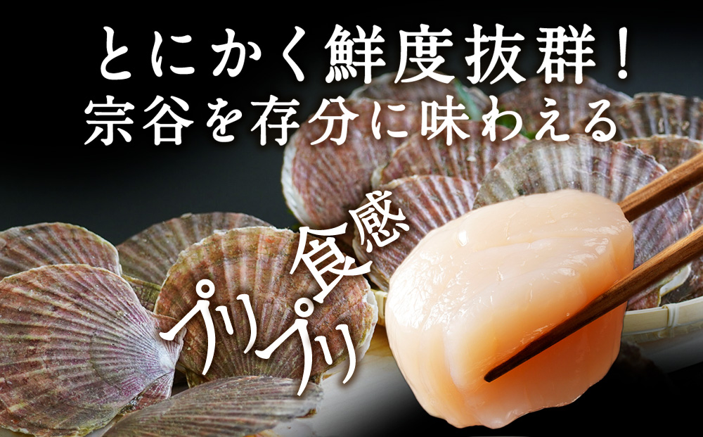 【先行受付】宗谷漁協発!産地直送!活ほたて約3kg（13～15枚入）