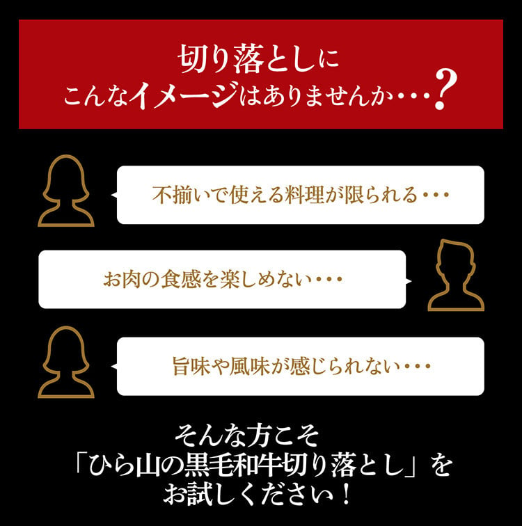 訳あり 京都産黒毛和牛(A4,A5)切り落とし スライス 900g(通常750g+150g) 京の肉 ひら山 厳選≪緊急支援 不揃い 和牛 牛肉 国産 京都 丹波産 冷凍 ふるさと納税牛肉≫