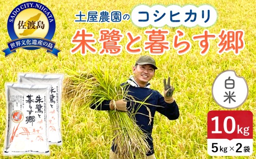 佐渡島産コシヒカリ「朱鷺と暮らす郷」白米10kg（5kg×2袋）令和7年産 特別栽培米 朱鷺と暮らす郷づくり認証米 土屋農園 | 新潟県産コシヒカリ 新潟産コシヒカリ 佐渡産コシヒカリ 新潟県産こしひかり 佐渡産こしひかり 朱鷺認証米 とき お米 米 こしひかり 白米 精米 ブランド米 おこめ コメ 10キロ にいがた さど 新潟県 佐渡市
