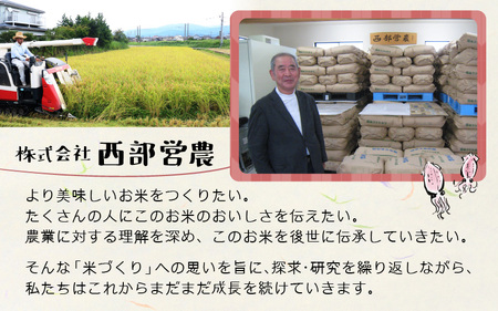 ほたるいか米 コシヒカリ 無洗米20kg ×6回 計120kg【6ヶ月定期便】 米 定期便 [N-021004]