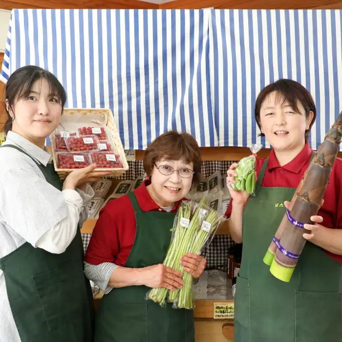 【期間限定】高原の町「飯南町」旬のお野菜セット～いっぺんたべてみんさい♪【 新鮮野菜 高原野菜 旬 特産品 お取り寄せ 少量多品種 少量多品目 おまかせ】