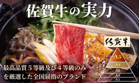 【定期便】佐賀牛 6回お肉の定期便 (隔月・奇数月お届け) A5～A4 肉本舗 小城 高級 ブランド 牛 ステーキ しゃぶしゃぶ すき焼き 焼肉 ブロック肉 ハンバーグ 【Q132-002】