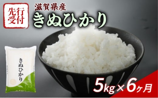 【令和7年産先行受付】 きぬひかり 5kg 6回定期便 令和7年産 定期便 新米 米 精米 こめ コメ お米 ご飯 米 キヌヒカリ 先行受付 米定期便 6か月定期便 6ヶ月定期便 6回 6ヶ月 6か月 滋賀 彦根