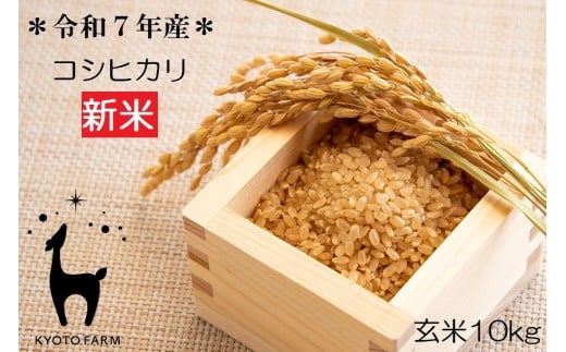 【新米先行受付】【京都ファーム】令和7年産 京都ファームのコシヒカリ 玄米10kg ［ 京都 京北産 こしひかり 人気 おすすめ 米 コメ おこめ お取り寄せ 通販 送料無料 ふるさと納税 ］